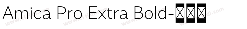 Amica Pro Extra Bold字体转换 Amica Pro Extra Bold字体转换